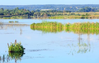 Akşam yaz göl manzara.