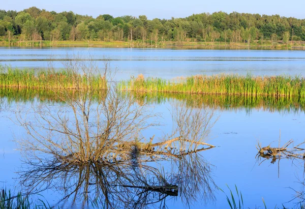 Вечірній літній пейзаж озера . — стокове фото