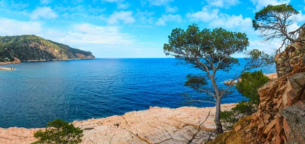 夏季岩石海岸海景 （西班牙). — 图库照片