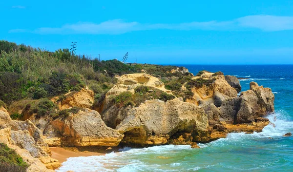 Vista costeira em flor do Atlântico (Algarve, Portugal ). — Fotografia de Stock