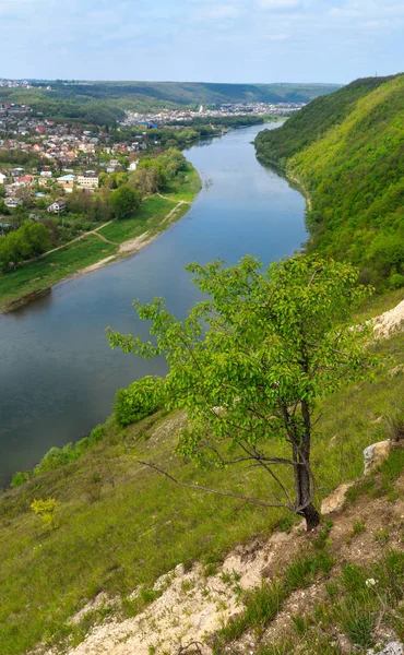 Dnister Nehri ve Zalischyky — Stok fotoğraf