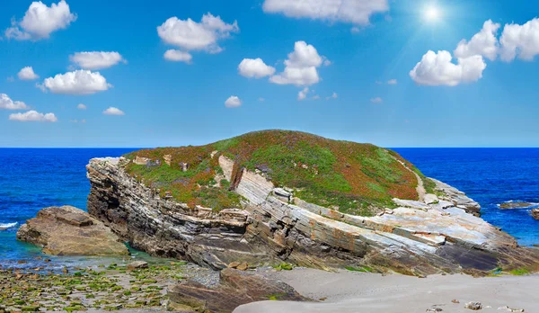 Güneşli çiçek açması Atlantic coast (Galiçya). — Stok fotoğraf