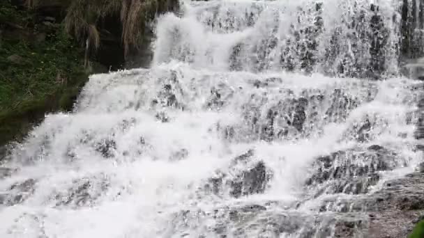 Spring Dzhurynskyi cascading waterfall — Stock Video