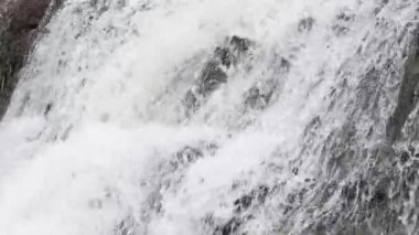 Bahar şelale arka plan