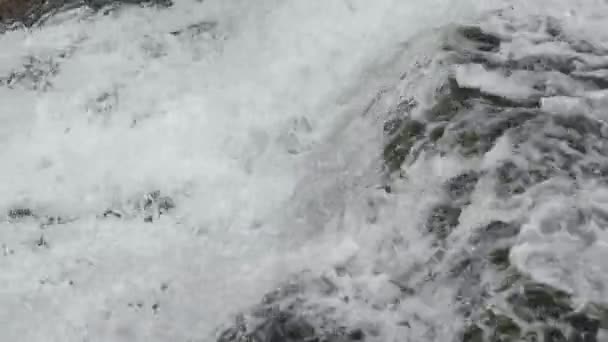 Falling down spring waterfall — Stock Video