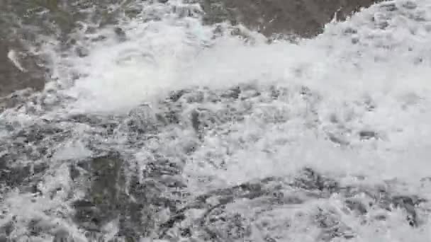 Caída de la cascada de primavera — Vídeo de stock