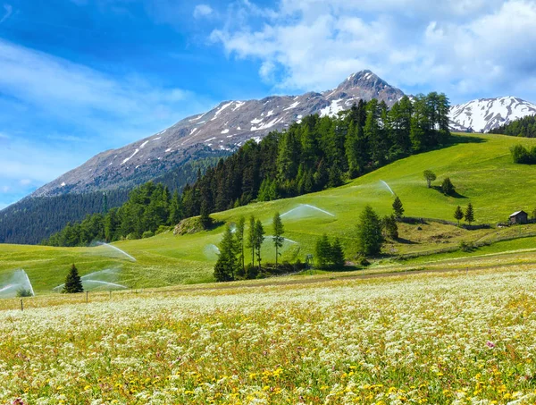 Bicas de água de irrigação na montanha dos Alpes de Verão — Fotografia de Stock