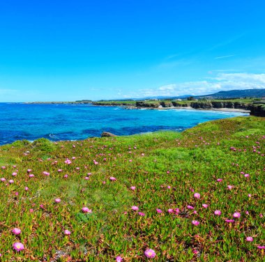 Atlantik çiçek açması kıyı şeridi (İspanya).