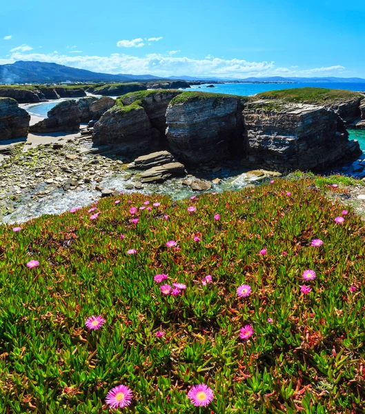 Atlantic blossoming coastline (Spain). — Stock Photo, Image