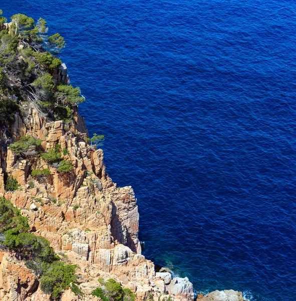 夏季海洋岩石海岸 （西班牙). — 图库照片