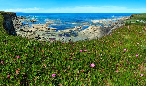 大西洋の開花海岸線 (スペイン). — ストック写真