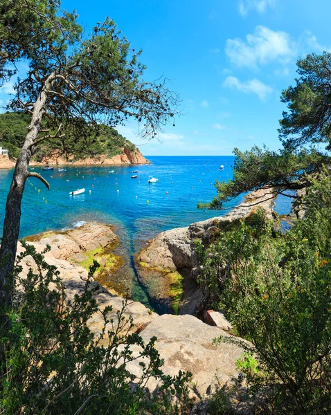 Tamariu bay, Costa Brava, Spain. — стокове фото