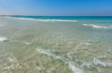 Deniz plajında sörf.