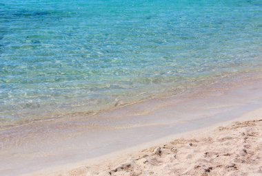 Deniz plajında sörf.