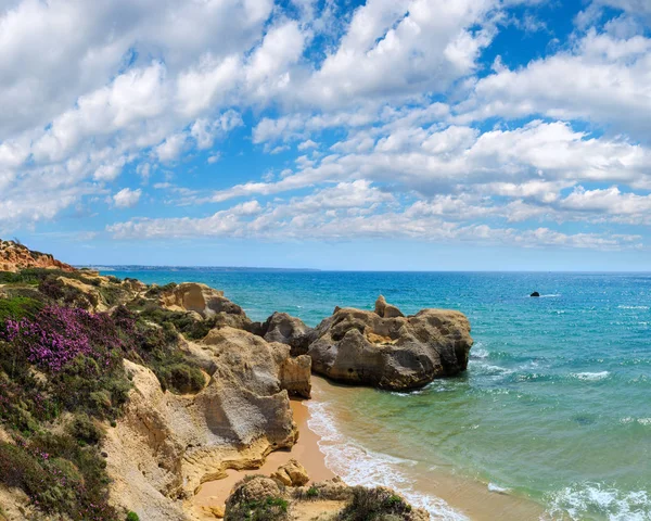 Kvetoucí pobřeží Atlantiku (Algarve, Portugalsko). — Stock fotografie
