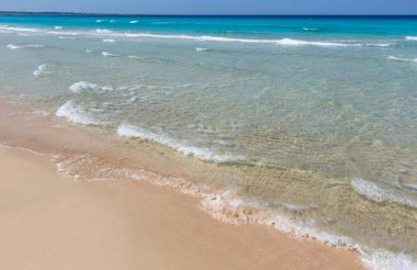 Deniz plajında sörf.