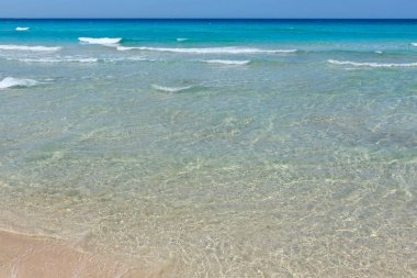 Deniz plajında sörf.