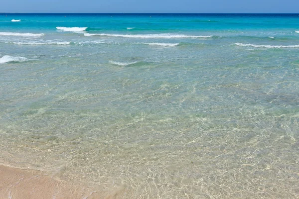 Deniz plajında sörf.