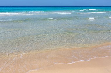 Deniz plajında sörf.