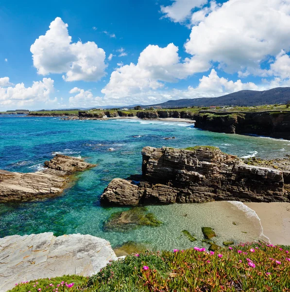 Atlantic blossoming coastline (Spain). — Stock Photo, Image