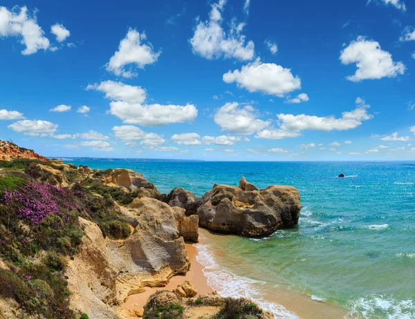 Atlantik çiçek açması Sahil (Algarve, Portekiz).