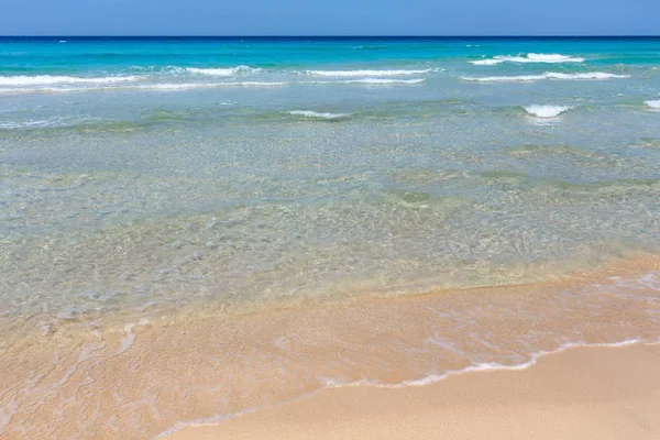 Deniz plajında sörf.