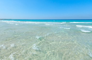 Deniz plajında sörf.