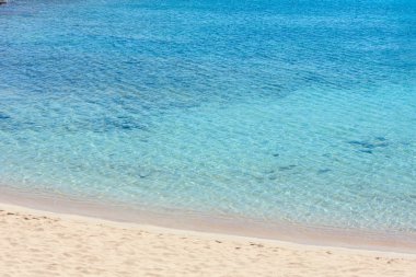 Deniz plajında sörf.