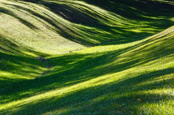 Green grass lawn with shadows. — Stock Photo, Image