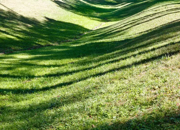 Green grass lawn with shadows. — Stock Photo, Image