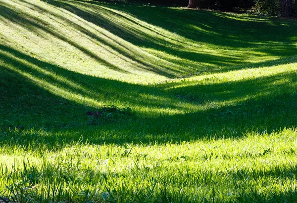 Groen gras gazon met schaduwen. — Stockfoto