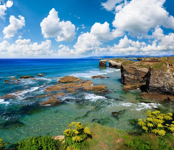 Cantabric costa verano paisaje . — Foto de Stock