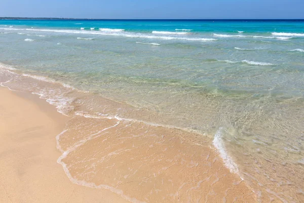 Deniz plajında sörf.