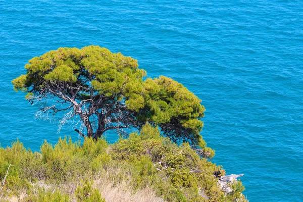 Sommaren Arch San Felice, Italien — Stockfoto