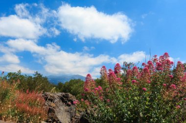 Etna yanardağı görünümü, Sicilya, İtalya