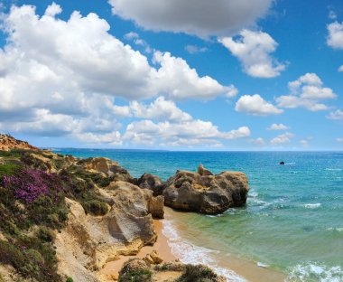 Atlantik çiçek açması Sahil (Algarve, Portekiz).