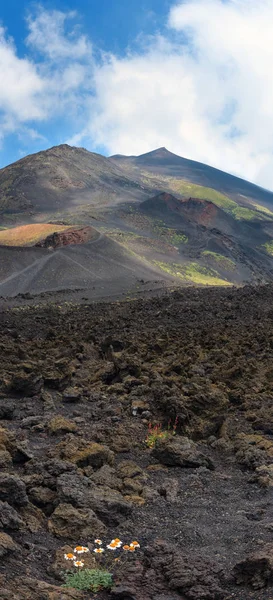 Etna volcano view, Sicily, Italy — Stock Photo, Image