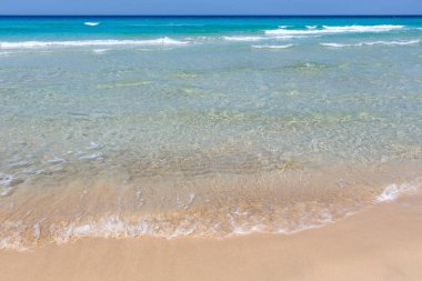 Deniz plajında sörf.