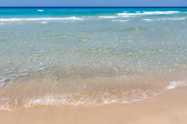 Deniz plajında sörf.