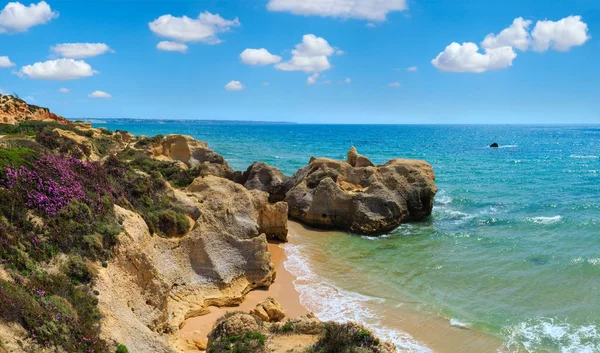 Kvetoucí pobřeží Atlantiku (Algarve, Portugalsko). — Stock fotografie