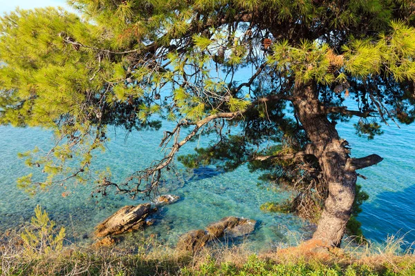Sommaren havet kusten (Halkidiki, Grekland). — Stockfoto