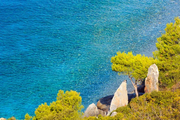 夏の海の海岸 (ハルキディキ、ギリシャ). — ストック写真