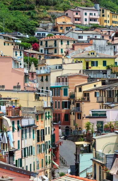 Summer Riomaggiore, Cinque Terre — Photo