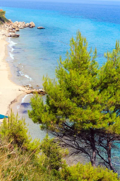 夏の海の海岸 (ハルキディキ、ギリシャ). — ストック写真