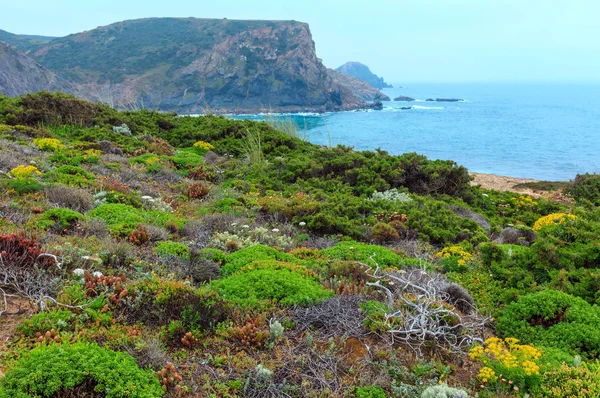 Sommaren Atlantkusten (Algarve, Portugal). — Stockfoto