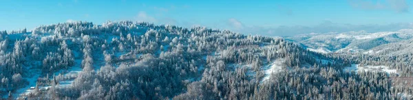 Winterkarpaten-Bergpanorama. — Stockfoto