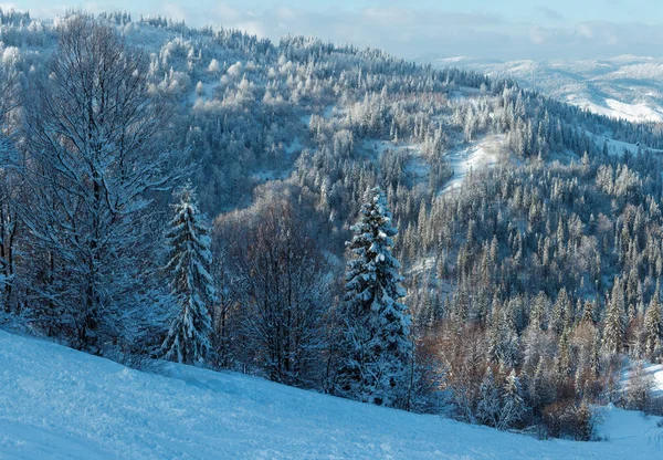 Zimní ukrajinské Karpaty krajina. — Stock fotografie