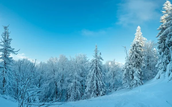 Invierno Ucrania Cárpatos Montañas paisaje . — Foto de Stock