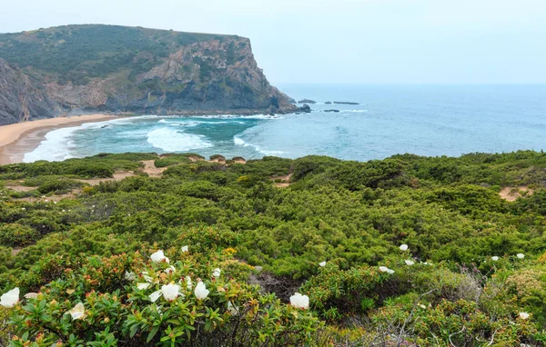 Yaz Atlantic coast (Algarve, Portekiz). — Stok fotoğraf