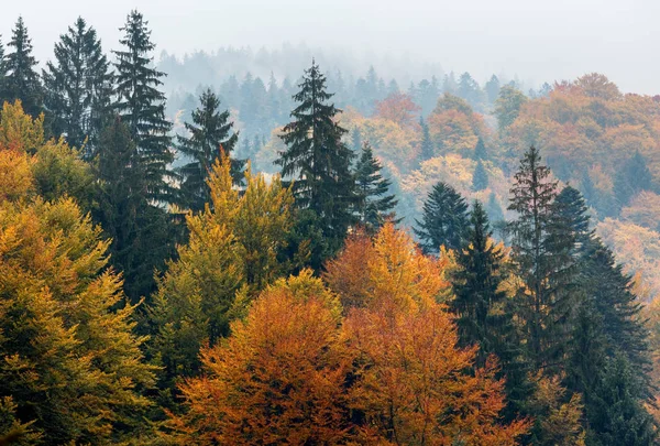 Herbstkarpaten (Ukraine). — Stockfoto